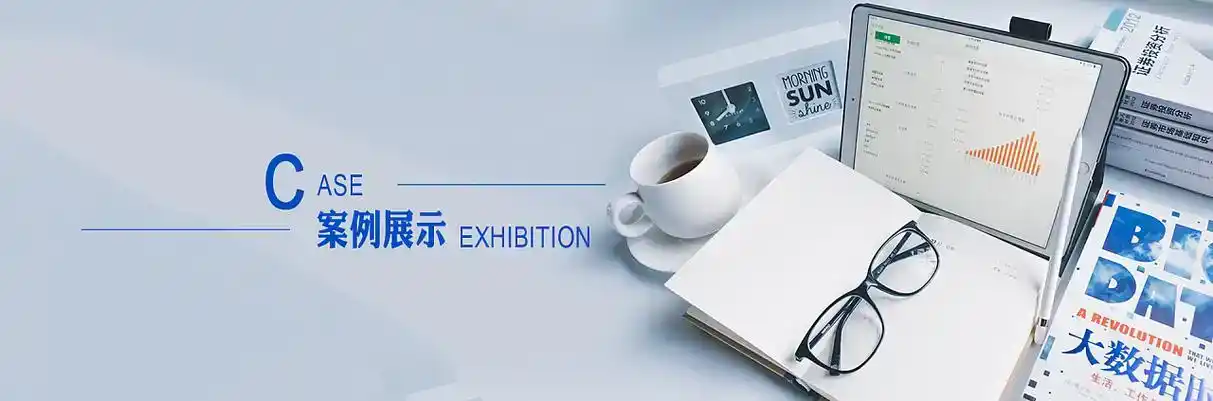 天峨县软件开发